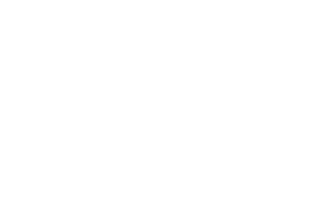 The Social Incubator USA