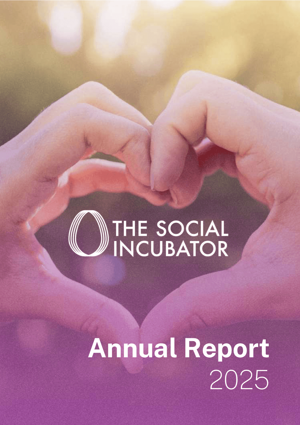 Cover preview of The Social Incubator USA 2025 Report